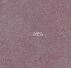 Линолеум Forbo Marmoleum Decibel on Order 327235 plum фото 1 | FLOORDEALER